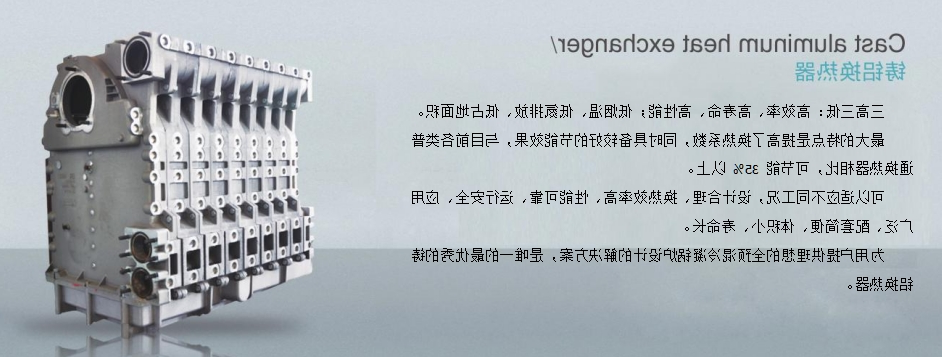 DLG全预混承压低氮冷凝铸铝锅炉-1.jpeg