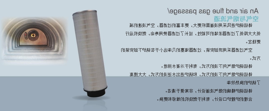DLG全预混承压低氮冷凝铸铝锅炉-2.jpeg