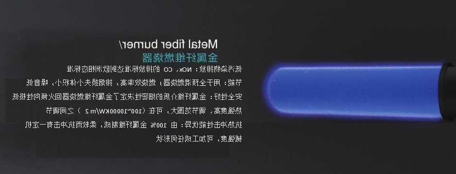 DLG全预混承压低氮冷凝铸铝锅炉-3.jpeg